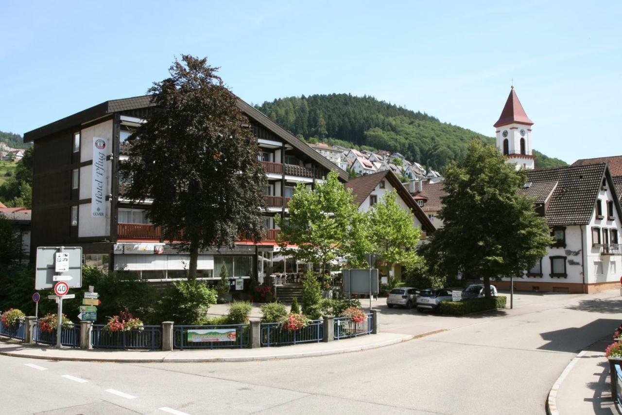 Ottenhofen im Schwarzwald Hotel Pflug מראה חיצוני תמונה